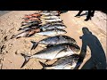 SANANA Kepulauan SULA | The Best Spot Spearfishing | Spearfishing INDONESIA