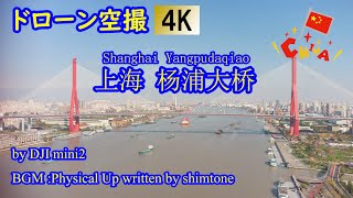 20201129 DJI mini2 ドローン空撮 上海 杨浦大桥☆4K動画☆