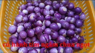 CỦ HÀNH TÍM VĨNH CHÂU ĐEM NGÂM CHUA NGỌT GIÒN NGON