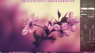 Complete Desktop Tuning Cherry Blossom