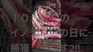 １００キロのイノシシその日に捕獲して食す2!!リブ肉🍖#いのしし #猪肉 #石垣島 #リュウキュウイノシシ#肋骨#boars#珍しいもの紹介動画#肉#ジビエ#ジビエ料理#バレンタイン#meat