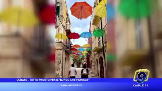 Corato - Tutto pronto per il borgo che fiorisce