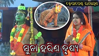 ସୁନା ହରିଣ ଆରେ ମୋ ସୁନା ହରିଣ // Mayabi Mruga // Odia Ramayana Nataka // Dhepapentha Ramayana #BkLike