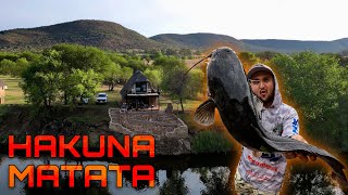 Vaal River BANK ANGLING - Hakuna Matata | Timon Chalet