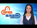 Страну ожидает холод и ветер! | Погода в Беларуси с 16 по 23 ноября | Плюс-минус