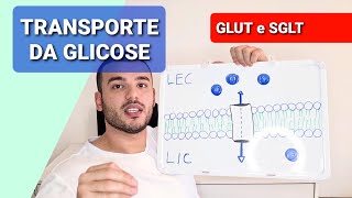 Transportadores de Glicose GLUT e SGLT: Tudo o que Você Precisa Saber em uma Vídeoaula Completa!