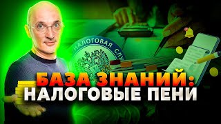 Налоговые пени: все, что нужно знать