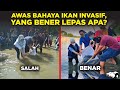 SALAH TERUS! SEBENARNYA YANG BENER MELEPAS IKAN AIR TAWAR APA DI SUNGAI INDONESIA?