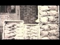 throwbackthursday video @tysonfoods in the 1930s tbt