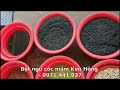 cách làm ngũ cốc giảm cân bột ngũ cốc mầm kim hồng