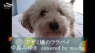 ＃アザミ嬢のララバイ＃中島みゆき　アザミ嬢のララバイ　中島みゆき　covered by mocha フル歌詞付きアカペラ  有中文翻訳　1975年中島みゆきさんのデビュー曲！？