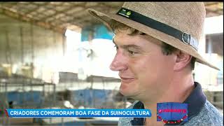 CRIADORES COMEMORAM BOA FASE DA SUINOCULTURA