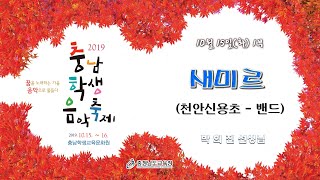 2019충남학생음악축제 1-1부 04. 새미르 밴드(천안신용초등학교)