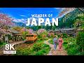 Wonders Of Japan | The Most Amazing Places in Japan | Travel Video 4K