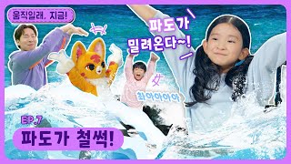 움직일래, 지금!ㅣEp.6ㅣ🌊파도가 철썩!ㅣ딩동댕유치원