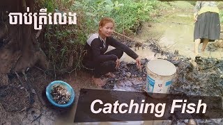 catching fish | Cambodian Traditional Fishing | Khmer Girls fishing