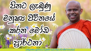 පිනට ලැබුණු මනුෂ්‍ය ජීවිතේ කරන මෝඩ ප්‍රාර්ථනා#welimadasaddhaseelathero#bana#dharmadeshana#shorts