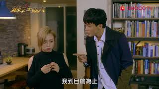 【獅子王強大】精彩片段：不正經的女人官晶晶跑來強大家搗蛋 | CHOCO TV 追劇瘋 | LINE TV 共享追劇生活