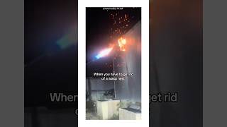 Ultimate Wasp Removal - Flamethrower