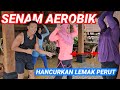 SENAM AEROBIK PENGHANCUR LEMAK PERUT & PINGGANG UNTUK BB 80-100++