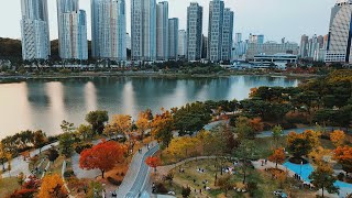 Autumn Colors at Suwon Gwanggyo Lake Park | Fall Foliage Beauty