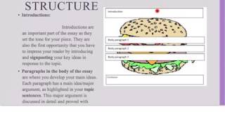 The Dons- Practice essay demonstration