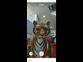 how to see 3d animal ar by google on your phone