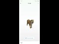 how to see 3d animal ar by google on your phone