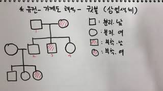 유전-귓볼-가계도 분석 방법