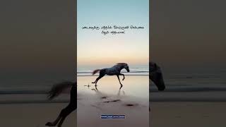 குதிரை பற்றிய திருக்குர்ஆனின் வசனங்கள் | #shorts | islamic tamil quran verses