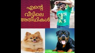 റോട്ട് വീലർ  review / Rottweiler review