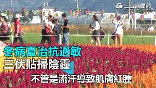 冬病夏治抗過敏 三伏貼掃陰霾｜三立新聞網SETN.com