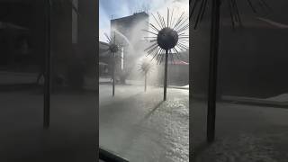 Dandelion Fountain in Dresden 🌼✨ | A Unique Urban Landmark