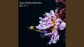 Never Divided Just Dive