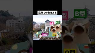 血液型あるある(温泉編)#猫ミーム #猫ミーム日常