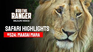 Safari Highlights #524: 12 & 13 June 2019 | Maasai Mara/Zebra Plains | Latest #Wildlife Sightings