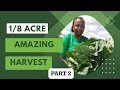 Small Beginnings: Growing Your Own Food on a Tiny Farm| Sustainable Farming| DEC Garden Tour PART 2