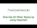 Basic CSS - Override All Other Styles by using Important - freeCodeCamp