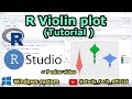 Violin plot by R | Beginner Tutorial #r #dataframe #rstudio #datascience #tutorial #bioinformatics