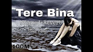 Harshit:TERE BINA || New Songs || Sad song ||