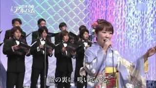 森山愛子　ソーラン渡り鳥　（地震速報無し）