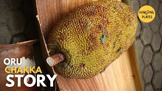 Oru Chakka Story| ഒരു ചക്ക സ്റ്റോറി |One Jackfruit Story| നൊസ്റ്റാൾജിയ | Nosralgia #shorts