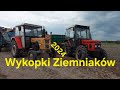 🔥WYKOPKI ZIEMNIAKÓW 2024🥔AGRO BRACIA 🔥URSUS x ZETOR x ANNA🥔🔥