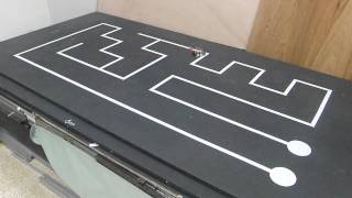 線迷宮鼠 LINE MAZE ROBOT \