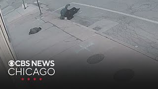 Attack on CTA bus driver sparks safety demands