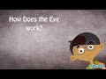 Human Eye Structure and Function - Human Body Parts| Science for Kids | Educational Videos by Mocomi