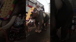 കാട്ടുശ്ശേരി വേല Alathur Palakkad