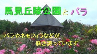 馬見丘陵公園とバラ