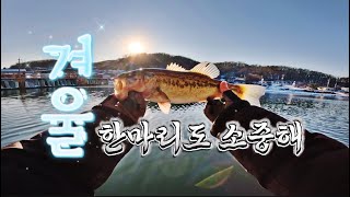 한겨울 경기북부는 얼어 붙었습니다❄️ 한마리 손맛도 소중한 배스낚시 계절🐟