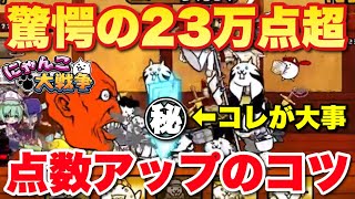 【実況にゃんこ大戦争】まさに神技！ランキング道場「無気力修行」で23万点超えで上位1%に入るやり方